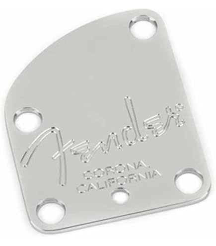 Amazon | Fender デラックスシリーズ ストラトキャスター ボディ